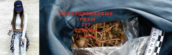 прущие крисы Киренск