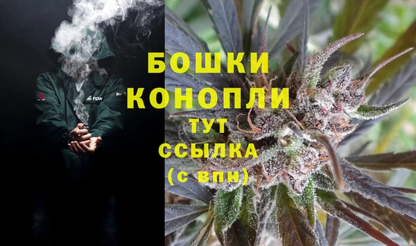 ешки Козельск
