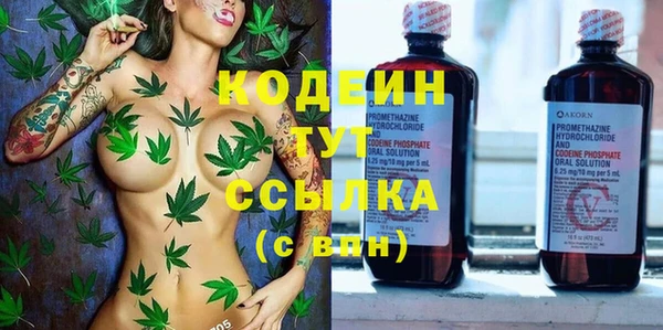прущие крисы Киренск