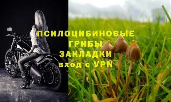 кокс Киреевск